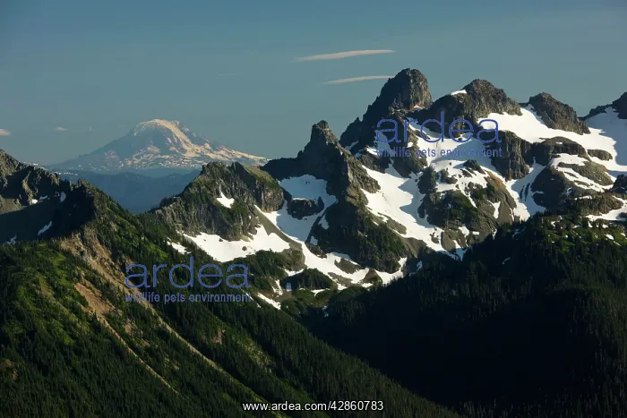 : The Cascade Mountains - Looking south towards : The Cascade Mountains - Looking south towards