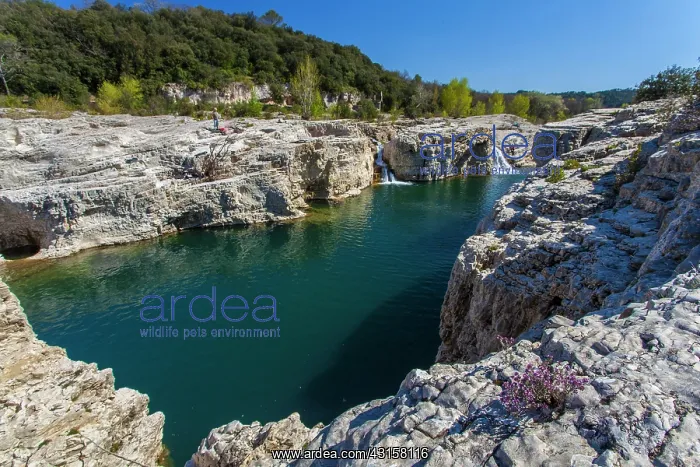 : Cascade Sautadet - La Roque sur Ceze - gard - France : Cascade Sautadet - La Roque sur Ceze - gard - France