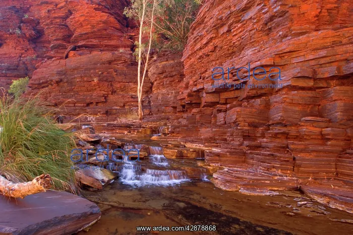 : Cascades in Kalamina Gorge - picturesque cascades : Cascades in Kalamina Gorge - picturesque cascades