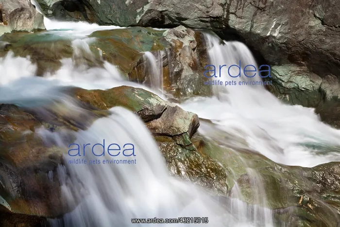 : The cascades of the river Isel in national : The cascades of the river Isel in national
