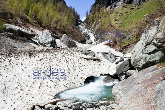 : The cascades of the River Isel in National : The cascades of the River Isel in National