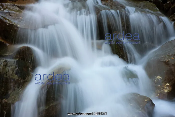 : The cascades in the valley of river Isel : The cascades in the valley of river Isel