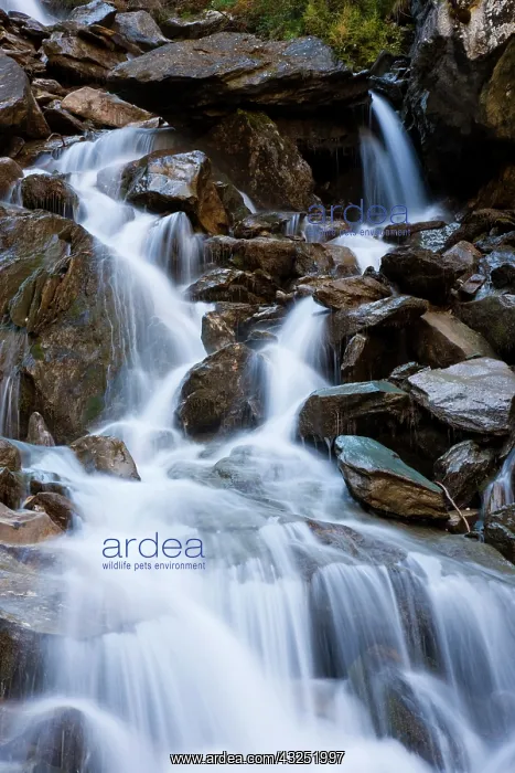 : The cascades in the valley of river Isel : The cascades in the valley of river Isel