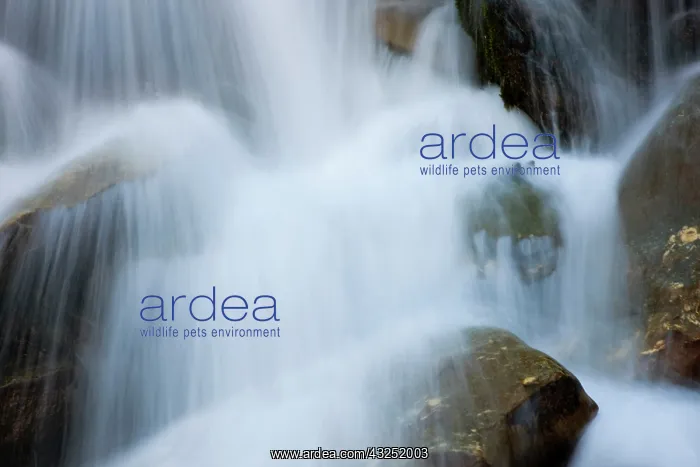 : The cascades in the valley of river Isel : The cascades in the valley of river Isel