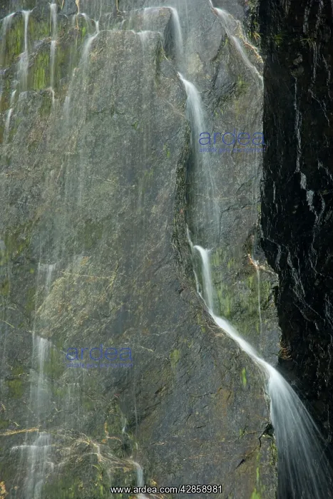 : Cascades - water falling down nearly vertical cliff : Cascades - water falling down nearly vertical cliff