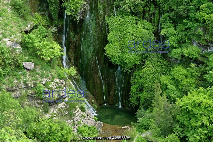 : Cascata del Marmore - water cascading down moss : Cascata del Marmore - water cascading down moss