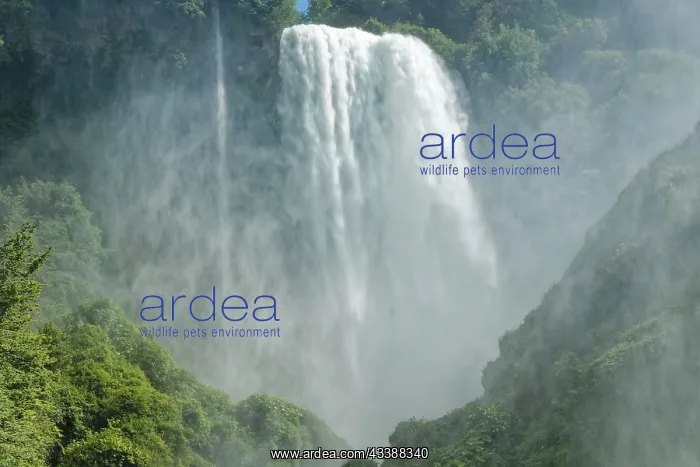 : The Cascata delle Marmore, the Marble Falls, is : The Cascata delle Marmore, the Marble Falls, is