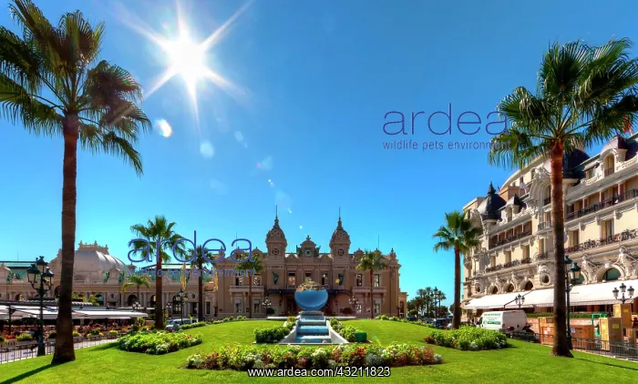 : Casino and Hotel de Paris, Place du Casino, Monte : Casino and Hotel de Paris, Place du Casino, Monte