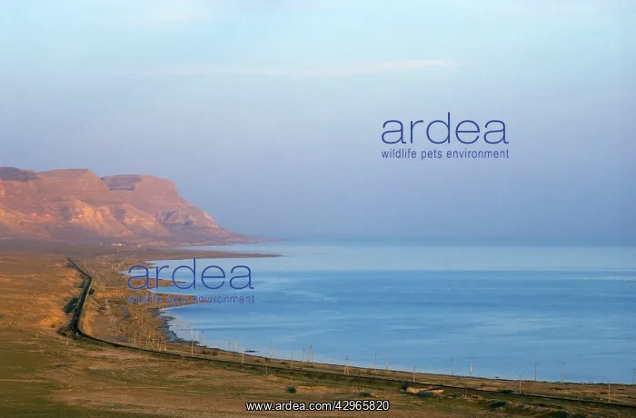 : Caspian sea shore - railway to Krasnovodsk town - sunset : Caspian sea shore - railway to Krasnovodsk town - sunset