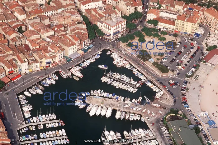 : CASSIS - aerial view of moorings : CASSIS - aerial view of moorings