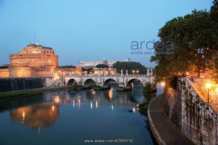 : Castel Sant'Angelo : Castel Sant'Angelo