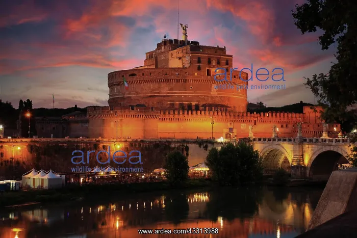 : Castel SantAngelo, Mausoleo di Adriano, Mausoleum : Castel SantAngelo, Mausoleo di Adriano, Mausoleum
