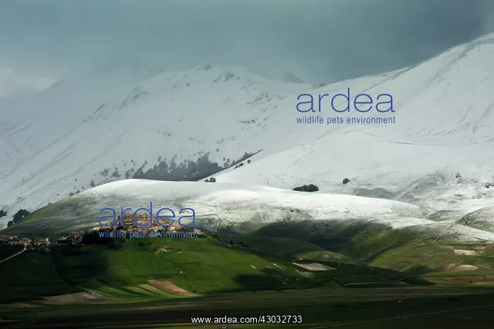 : Castelluccio di Norcia and the Piano Grande in late : Castelluccio di Norcia and the Piano Grande in late