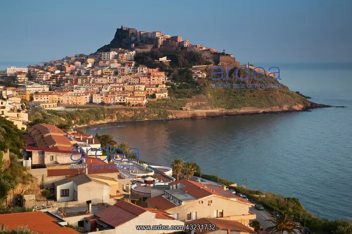 : Castelsardo town at sunrise, Sardinia, Italy : Castelsardo town at sunrise, Sardinia, Italy
