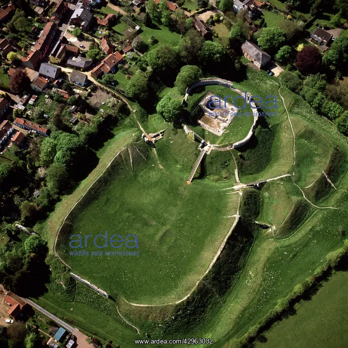 : Castle Acre Castle, remains of a motte-and-bailey : Castle Acre Castle, remains of a motte-and-bailey