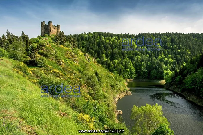 : Castle of Alleuze, Truyere valley, Cantal department
