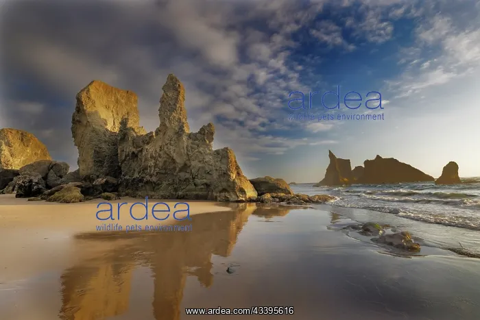 : Castle on Bandon Beach at Bandon, Oregon, USA : Castle on Bandon Beach at Bandon, Oregon, USA