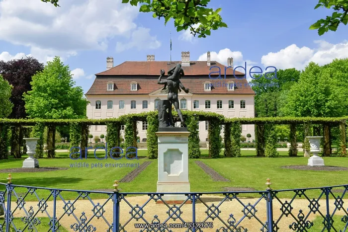: Castle, Furst-Puckler-Park Branitz, Cottbus, Brandenburg : Castle, Furst-Puckler-Park Branitz, Cottbus, Brandenburg