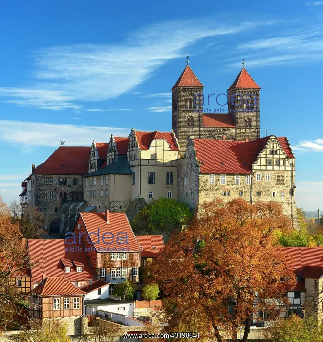 : Castle hill with collegiate church of St. Servatius : Castle hill with collegiate church of St. Servatius