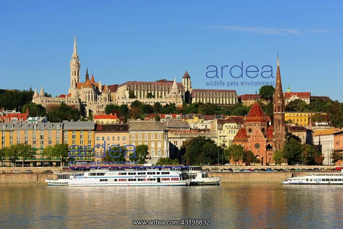 : Castle Hill with Matthias Church and Fisherman's : Castle Hill with Matthias Church and Fisherman's
