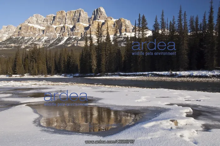 : Castle Mountain and Bow River in winter, Banff National : Castle Mountain and Bow River in winter, Banff National