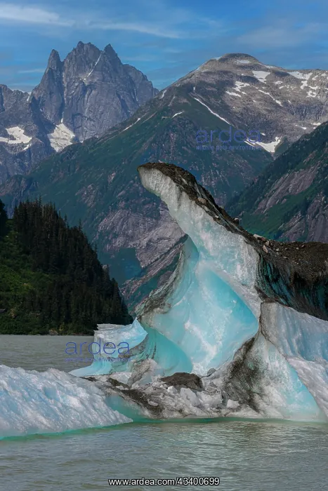 : Castle Mountain juts high above Shakes Lake : Castle Mountain juts high above Shakes Lake
