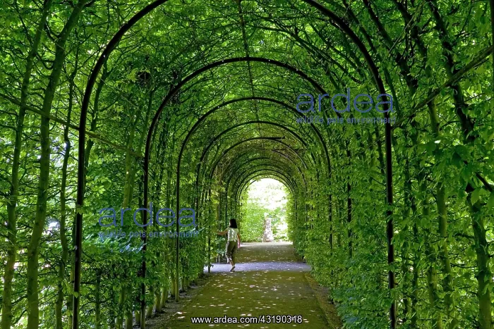 : Castle Moyland, bower at the castle grounds, Bedburg : Castle Moyland, bower at the castle grounds, Bedburg