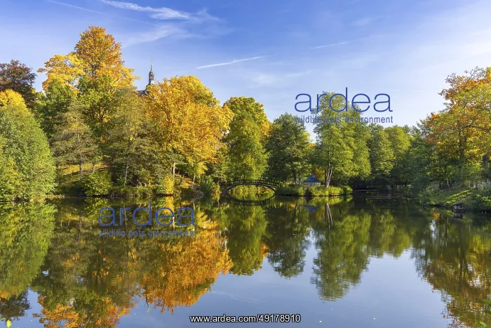 : Castle pond with bridge and Pfaffroda Castle in autumn : Castle pond with bridge and Pfaffroda Castle in autumn