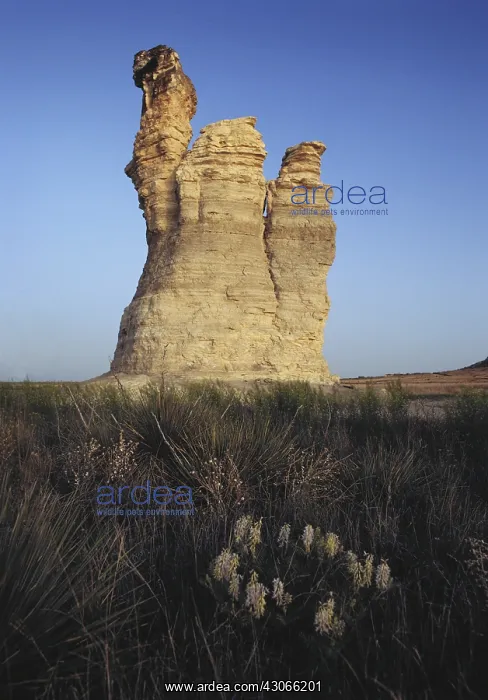 : Castle Rock, Kansas : Castle Rock, Kansas