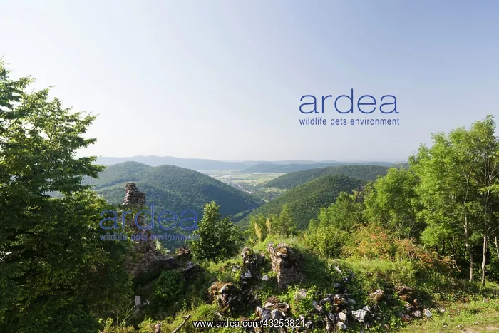 : The castle ruin of Szadvar, Aggtelek national : The castle ruin of Szadvar, Aggtelek national