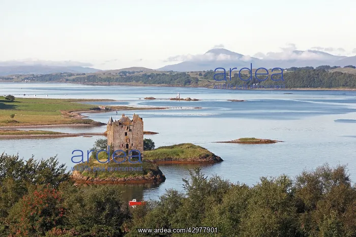 : Castle Stalker : Castle Stalker