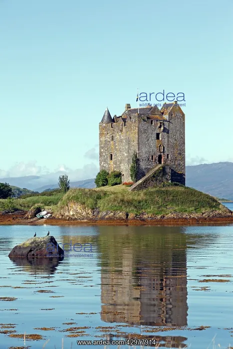 : Castle Stalker : Castle Stalker