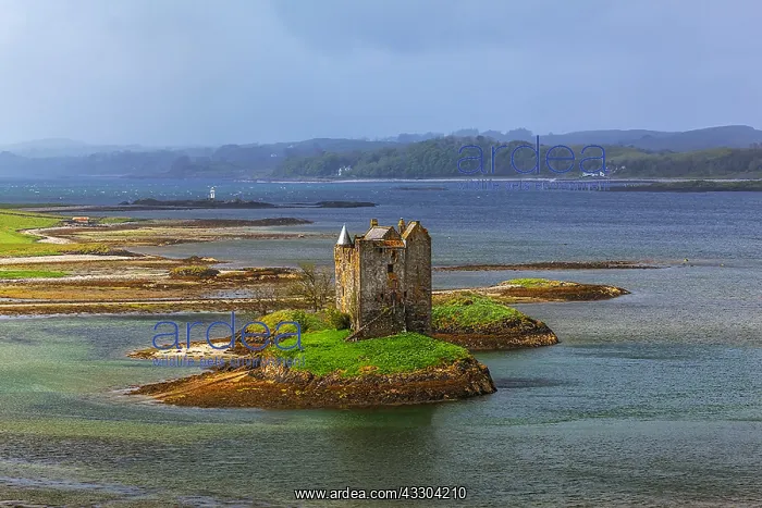 : Castle Stalker - famous castle located amidst Loch : Castle Stalker - famous castle located amidst Loch