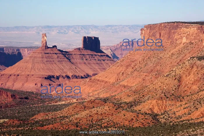: Castle Valley, Moab, Utah. Good example of sandstone buttes : Castle Valley, Moab, Utah. Good example of sandstone buttes