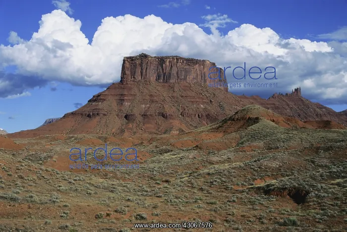 : Castle Valley, Utah : Castle Valley, Utah