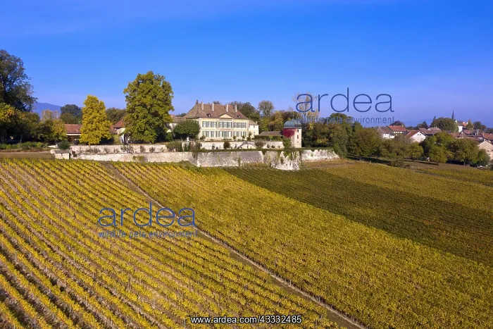: Castle Vullierens, Chateau de Vullierens, drone : Castle Vullierens, Chateau de Vullierens, drone