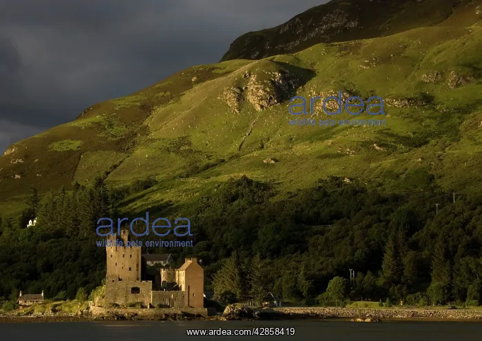 : Castle by water and mountain : Castle by water and mountain