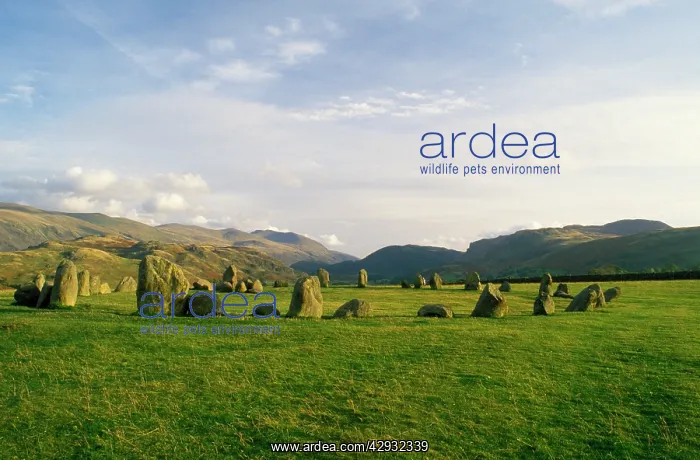 : Castlerigg Stone Circle : Castlerigg Stone Circle