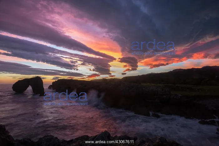 : Castro de las Gaviotas, Llanes, Asturias, Spain : Castro de las Gaviotas, Llanes, Asturias, Spain