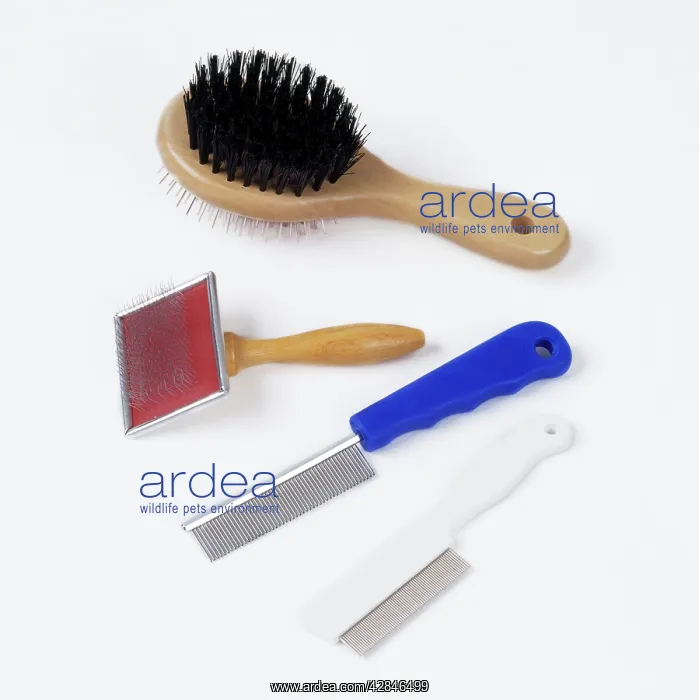 : Cat - Brushes & Combs for grooming : Cat - Brushes & Combs for grooming