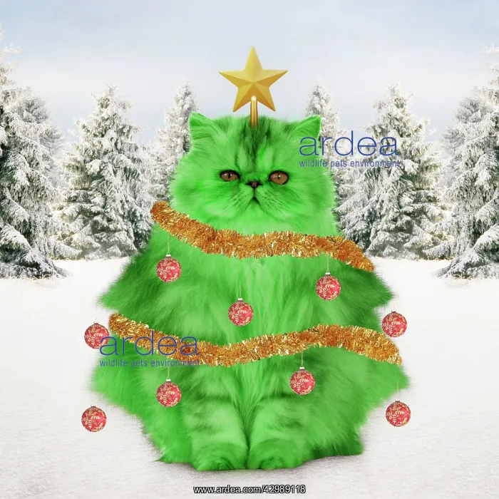  : Cat Christmas tree with tinsel baubles and a star