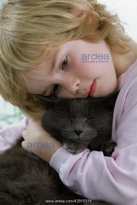 : Cat - being cuddled by young child