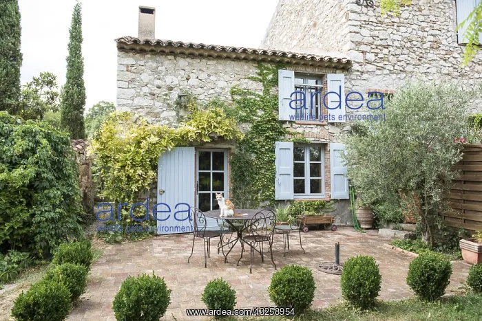 : Cat on a garden table in summer, Provence, France : Cat on a garden table in summer, Provence, France