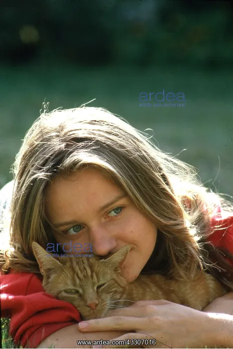 : CAT - with girl cuddling : CAT - with girl cuddling