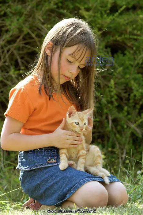 : Cat - girl holding ginger kitten