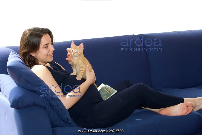 : Cat - girl holding ginger kitten on sofaLady is pregnant