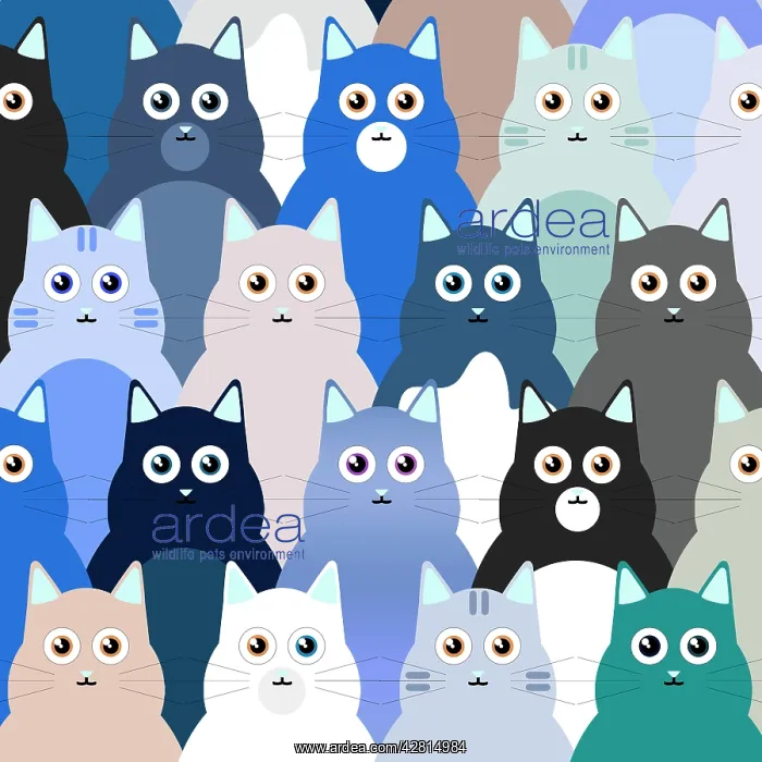 : Cat illustration, repeating pattern : Cat illustration, repeating pattern