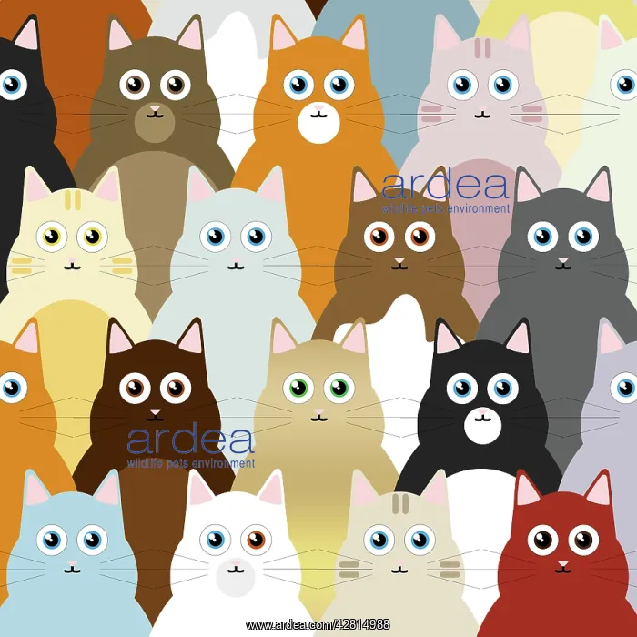 : Cat illustration, repeating pattern : Cat illustration, repeating pattern