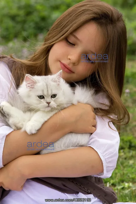  : Cat - kitten being held by young girl