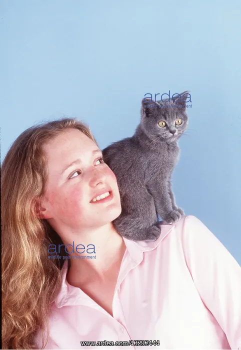 : CAT - kitten sitting on girls shoulder : CAT - kitten sitting on girls shoulder
